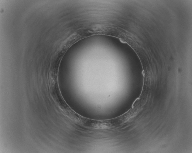 X0000069360751200605192058