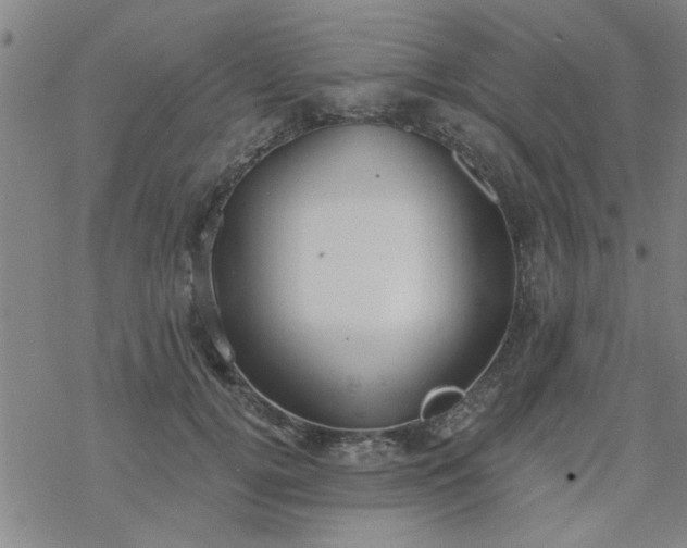 X0000069360752200605192058