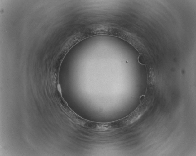 X0000069360753200605192058