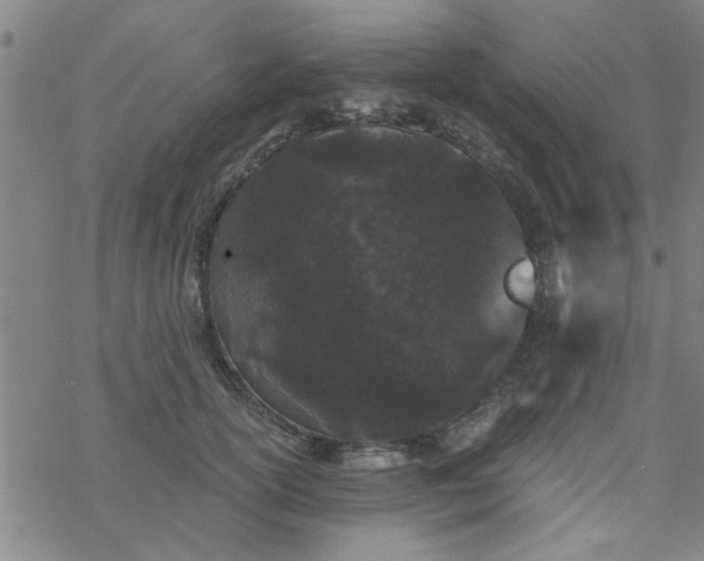 X0000069360754200605192058