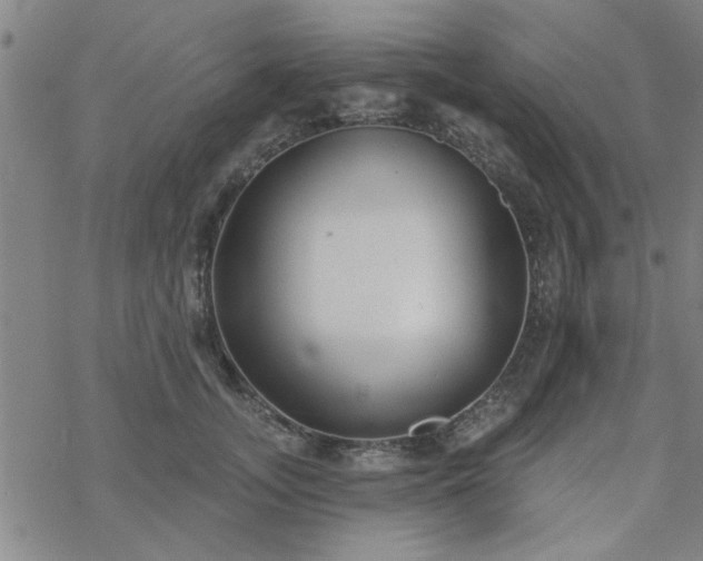 X0000069360755200605192058