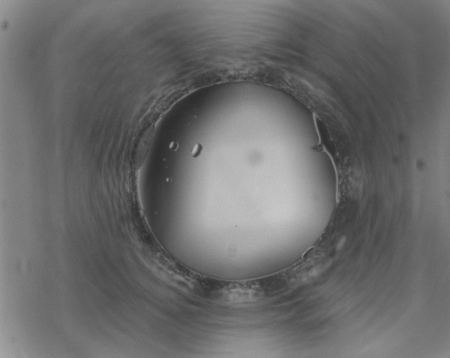 X0000069360756200605192058