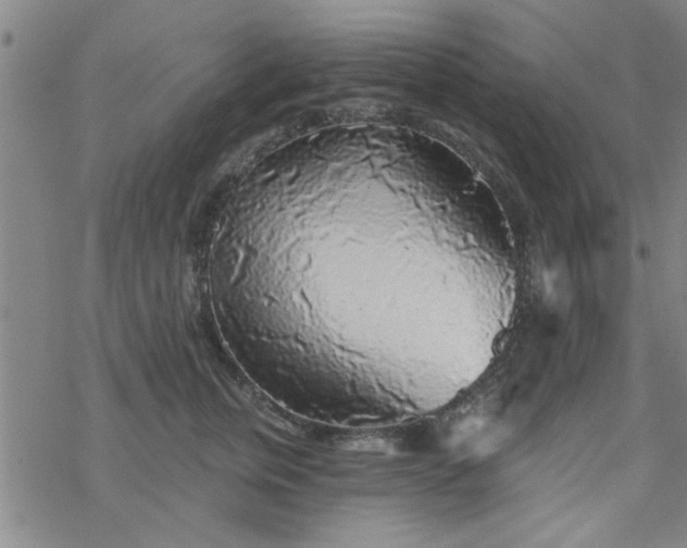 X0000069360759200605192058