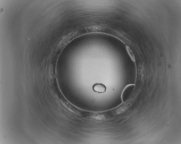 X0000069360760200605192058