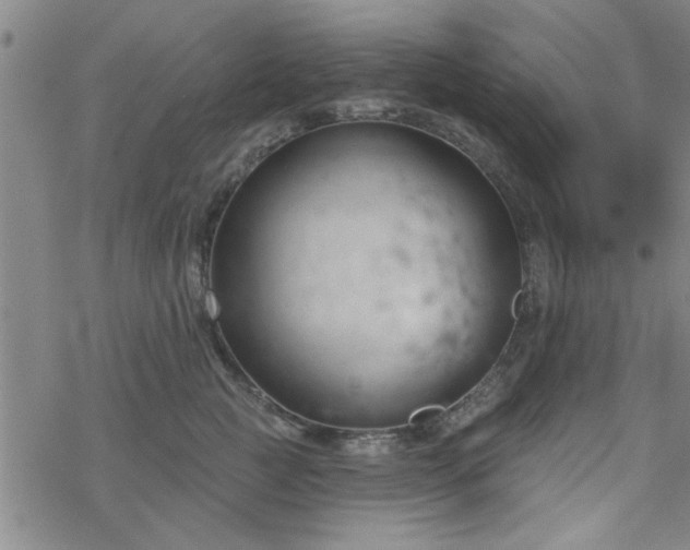 X0000069360761200605192058