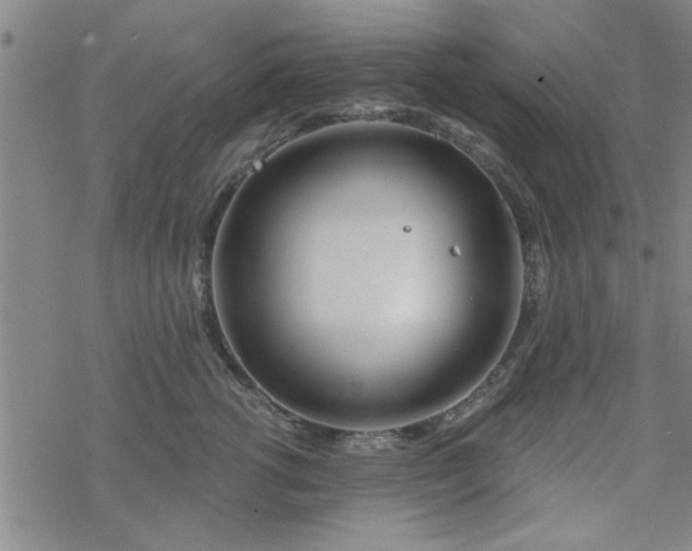 X0000069360762200605192058