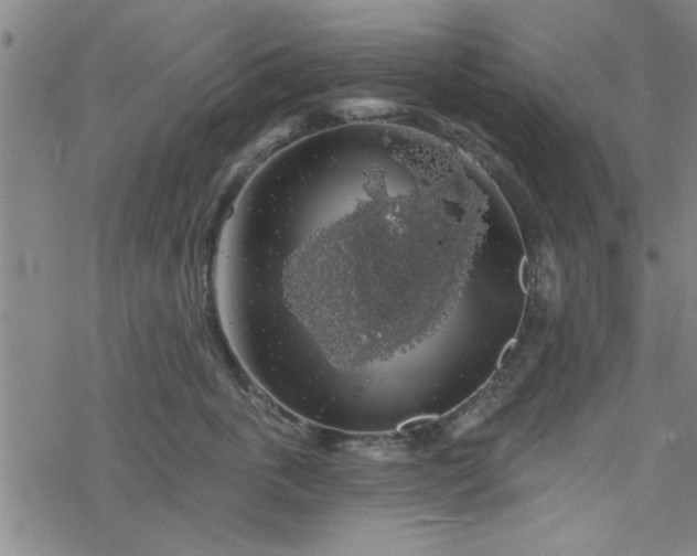 X0000069360763200605192058