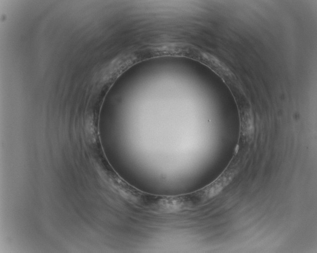 X0000069360764200605192058