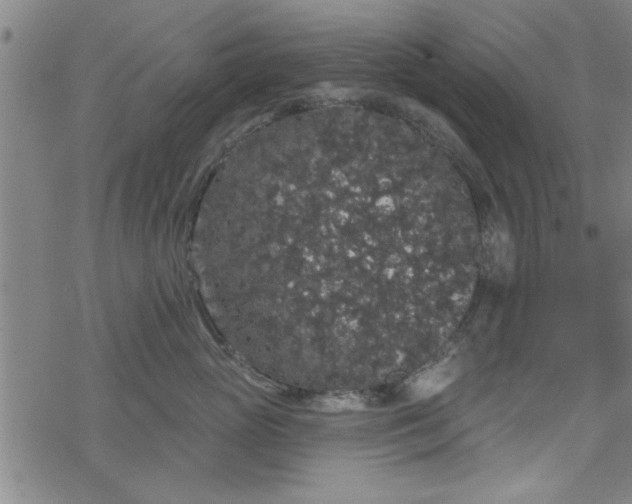 X0000069360765200605192058