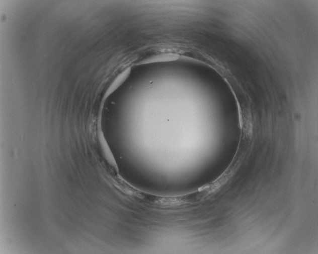 X0000069360766200605192058