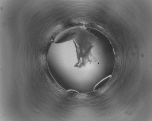 X0000069360767200605192058