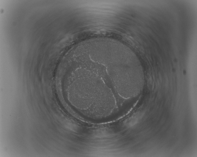 X0000069360769200605192057