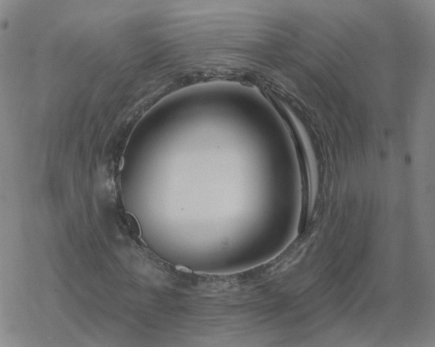 X0000069360771200605192057