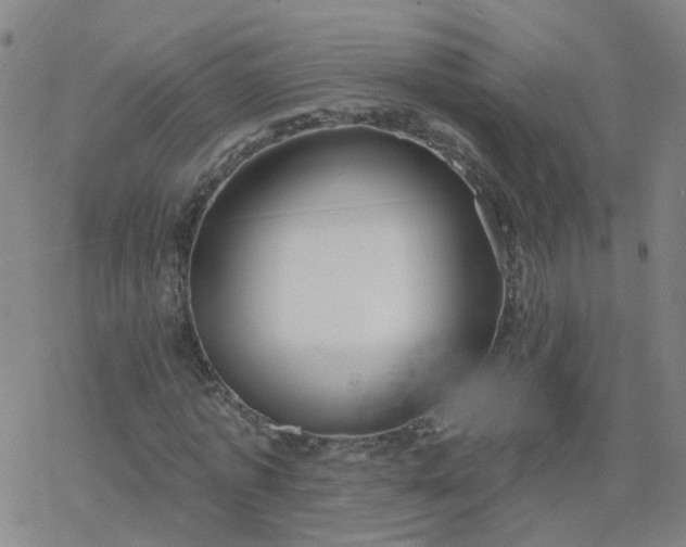 X0000069360773200605192057