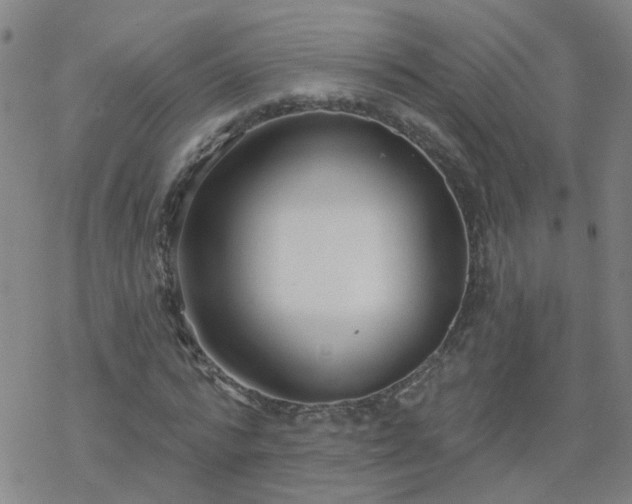 X0000069360776200605192057