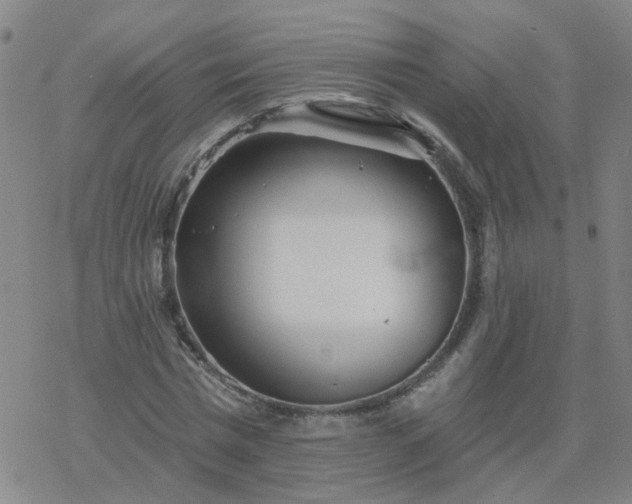 X0000069360777200605192057