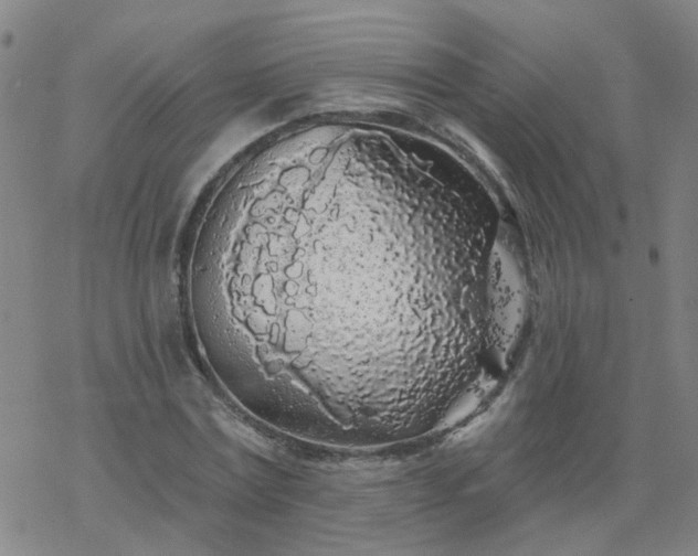 X0000069360779200605192057