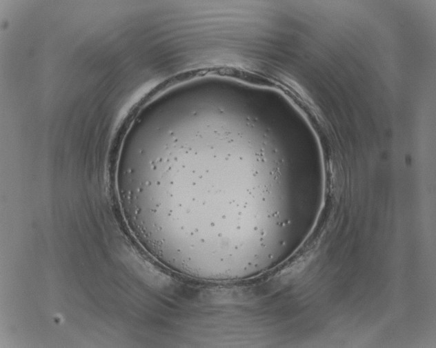 X0000069360780200605192057