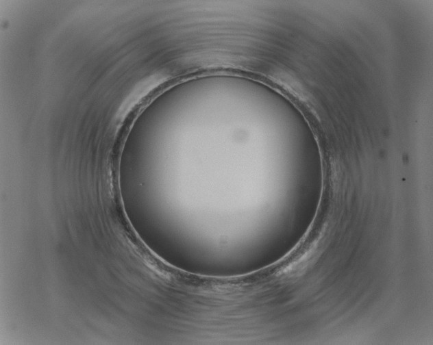 X0000069360782200605192057