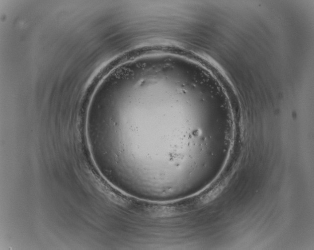 X0000069360783200605192057