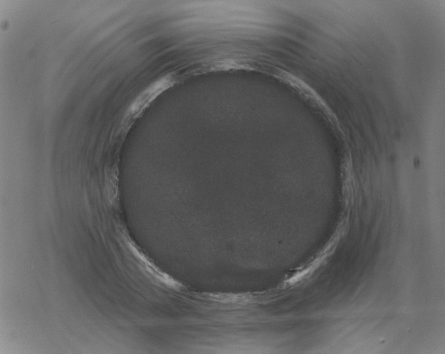 X0000069360785200605192057