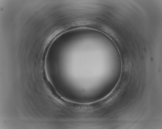 X0000069360786200605192057