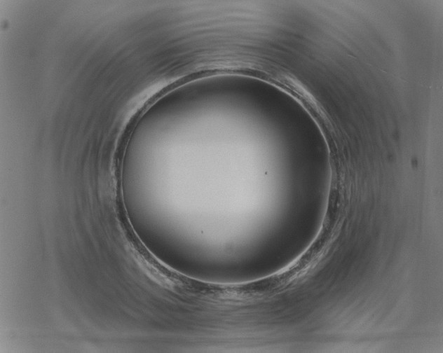 X0000069360787200605192057