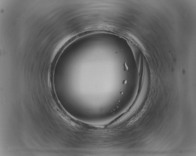 X0000069360788200605192057