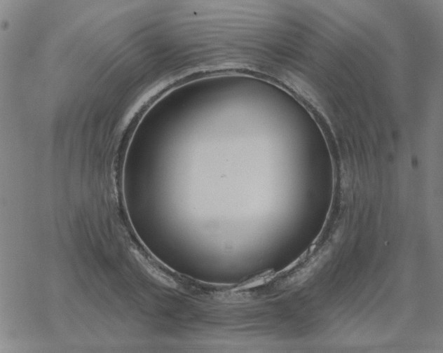 X0000069360789200605192057