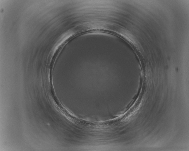 X0000069360790200605192057