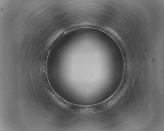 X0000069360793200605192057