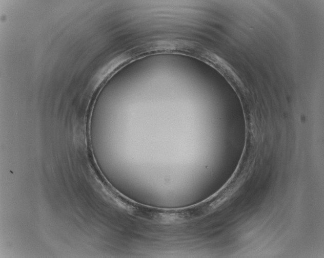 X0000069360794200605192057