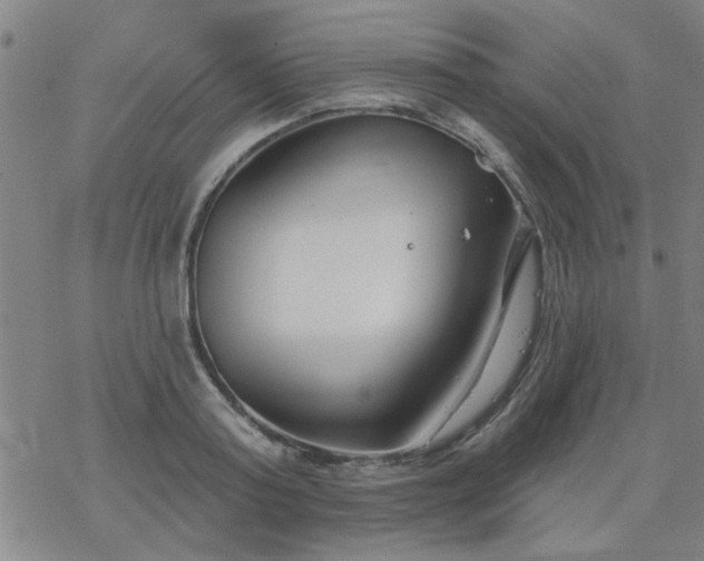 X0000069360795200605192057