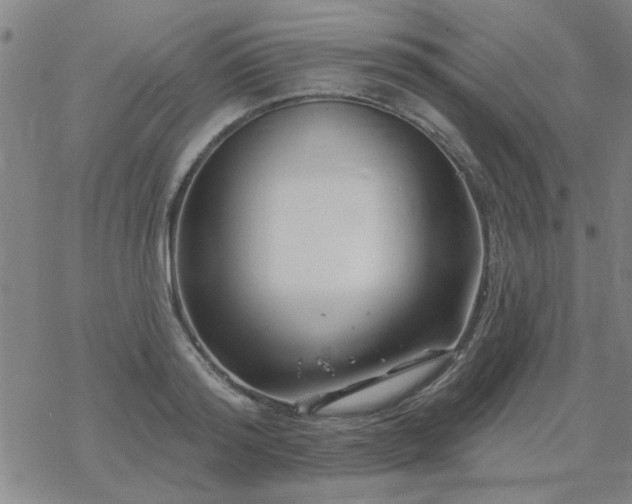 X0000069360796200605192057