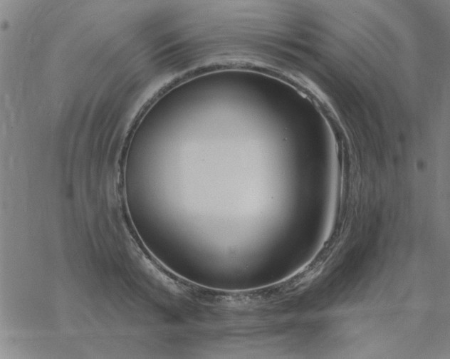 X0000069360799200605192057