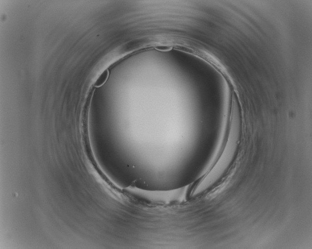 X0000069360803200605192057