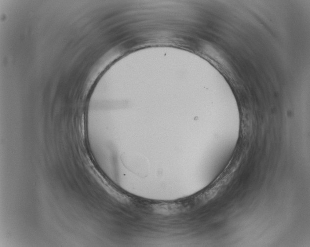 X0000069360804200605192057