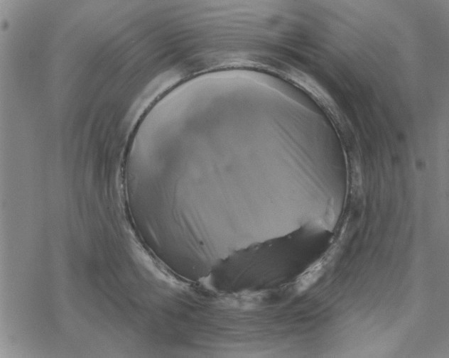 X0000069360806200605192056