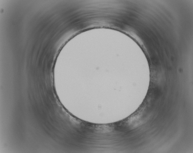 X0000069360807200605192056