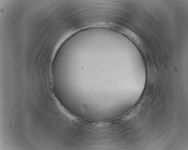 X0000069360808200605192056