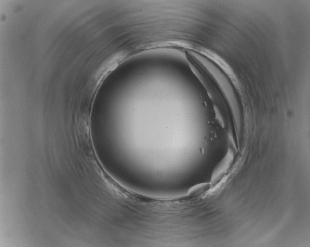 X0000069360809200605192056