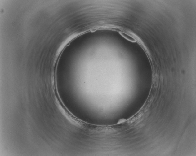 X0000069360811200605192056