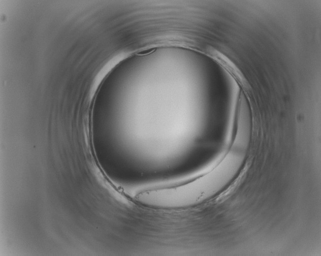 X0000069360812200605192056