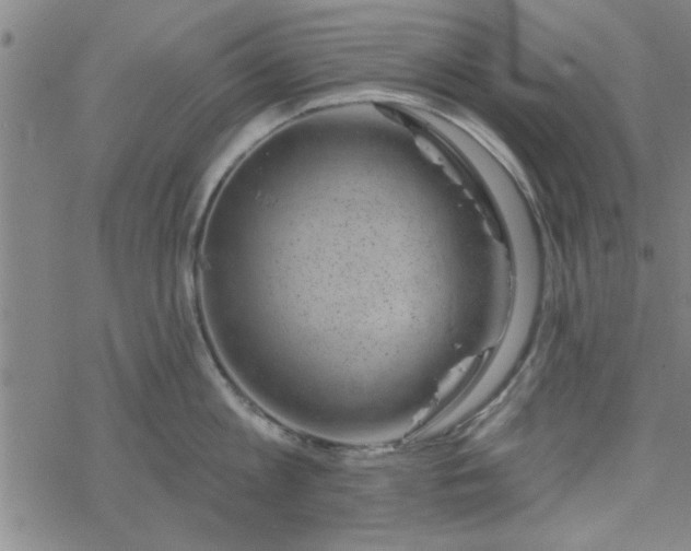 X0000069360813200605192056