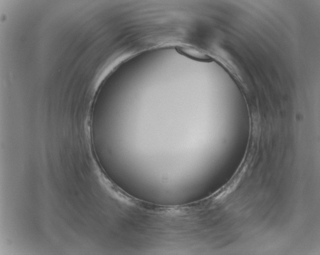 X0000069360814200605192056