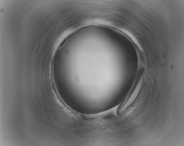 X0000069360815200605192056