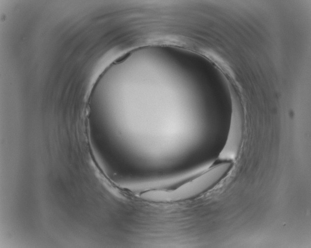 X0000069360816200605192056