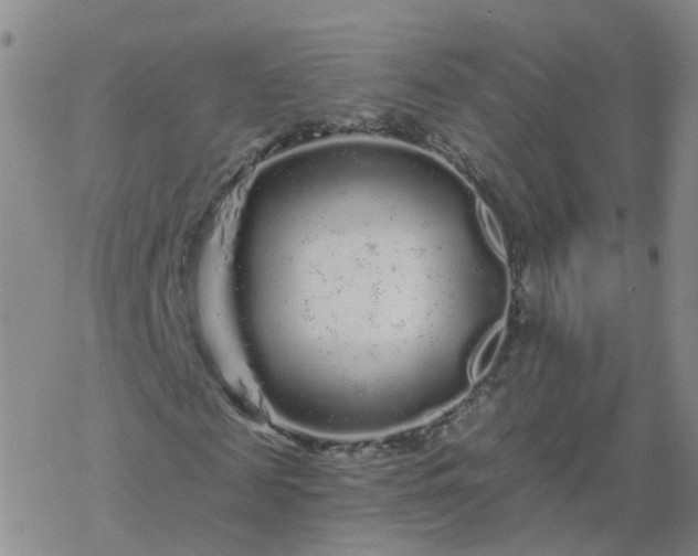 X0000069360817200605192056