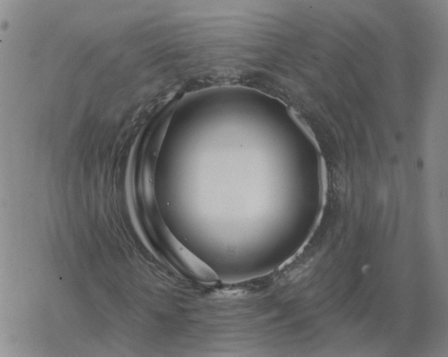 X0000069360818200605192056