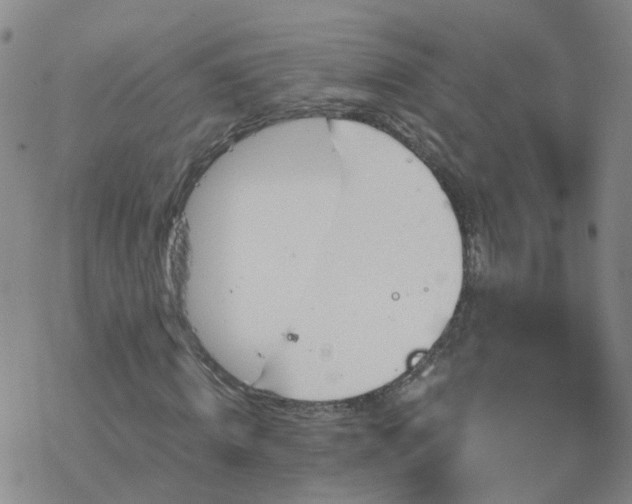 X0000069360820200605192056